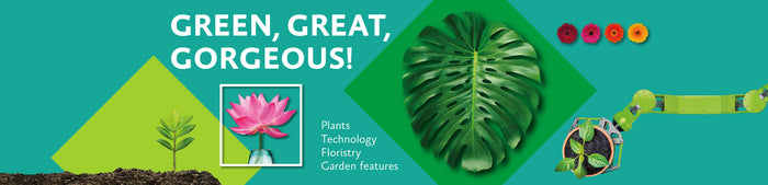 Roll n Grow na IPM Essen